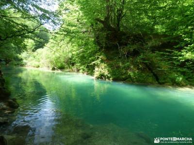 Urbasa-Andía;Aizkorri-Aratz;Aralar; rutas de trekking viajes activos senderismo con perros madrid r